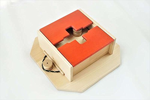 My Intelligent Dogs Juguete Interactivo de Madera para Perros Cubo Suizo, M