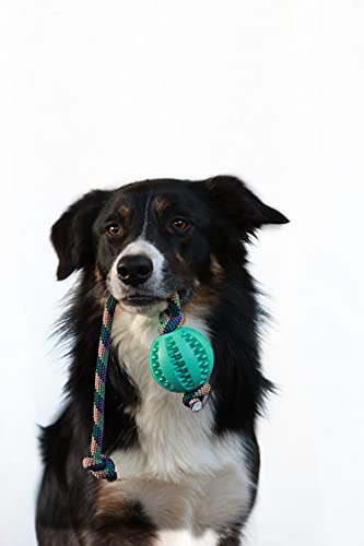 My Joone | Juguete para perros de rocío en color cebra y pelota de goma maciza / pelota dental para perros pequeños y grandes, pelota con cuerda, pelota de lanzamiento, juguete antidesgarros.