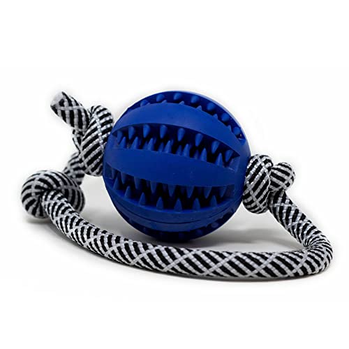 My Joone | Juguete para perros de rocío en color cebra y pelota de goma maciza / pelota dental para perros pequeños y grandes, pelota con cuerda, pelota de lanzamiento, juguete antidesgarros.