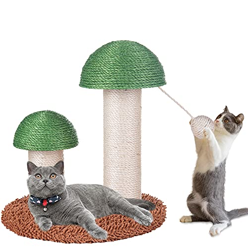 My OLi Poste de rascado para gatos con bola colgante de champiñones natural durable sisal Junta Rascadores para gatos y gatos (verde)