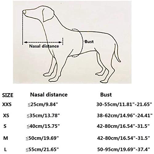 N \ A Anillo Anticolisión para Mascotas, Chaleco Ajustable con Arnés para Perros Ciegos, Círculo Protector De Cataratas para Animales, Guía Segura para Perros con Mala Visión, Protección con Halo