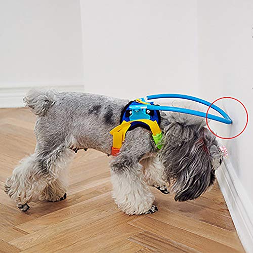 N \ A Anillo Anticolisión para Mascotas, Chaleco Ajustable con Arnés para Perros Ciegos, Círculo Protector De Cataratas para Animales, Guía Segura para Perros con Mala Visión, Protección con Halo