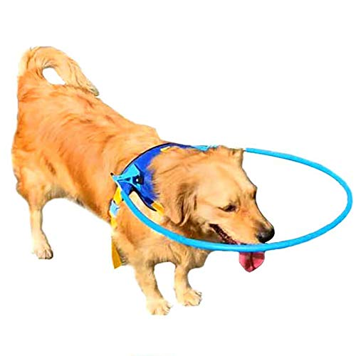 N \ A Anillo Anticolisión para Mascotas, Chaleco Ajustable con Arnés para Perros Ciegos, Círculo Protector De Cataratas para Animales, Guía Segura para Perros con Mala Visión, Protección con Halo