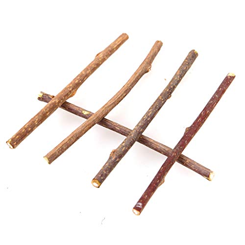 N-brand Pulabo 5 piezas de hierba gatera, juguete natural Matatabi Stick Mascota Gato Dental Treat Juguetes para masticar, estiloso y popular