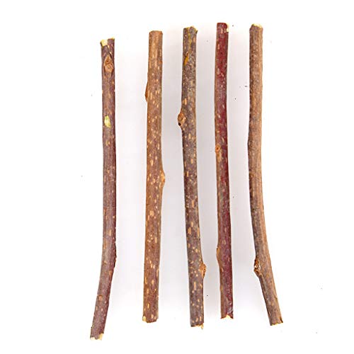 N-brand Pulabo 5 piezas de hierba gatera, juguete natural Matatabi Stick Mascota Gato Dental Treat Juguetes para masticar, estiloso y popular