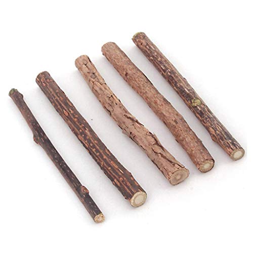 N-brand Pulabo 5 piezas de hierba gatera, juguete natural Matatabi Stick Mascota Gato Dental Treat Juguetes para masticar, estiloso y popular