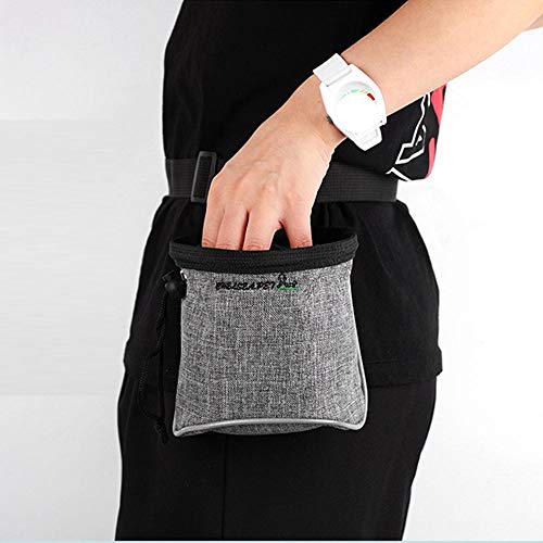 NA Bolsa para perros de paseo, bolsa de entrenamiento para cachorros, bolsa de basura portátil, bolsa de entrenamiento para viajes o uso al aire libre