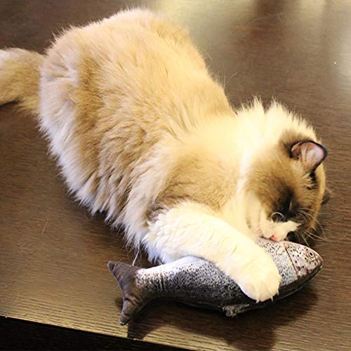 NA Juguete de pez pateador de Gato en Movimiento eléctrico, pez Realista, Juguete Divertido para Ejercicio de Gato para Gato/Gatito/Gatito pez de Juguete de Gato Juguetes de Hierba gatera