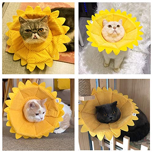 NAMIS Collar de Recuperación para Mascotas Collar Protector para Gato con Girasol Borde Suave Ajustable Collar de protección para Mascotas Collar de Cono para Mascotas para lamer la mordida(S)