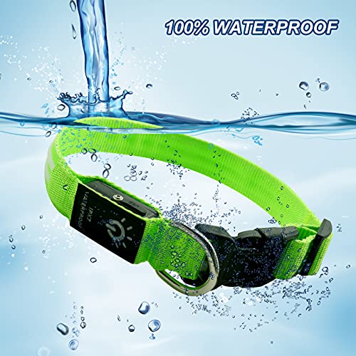 NASTRA Collar Luminoso Perro,Recargable Collares Luminosos para Perros,Collar Led Perro Luz Mayor Visibilidad y Seguridad Talla única para Todos los Perros y Gatos(Verde S)
