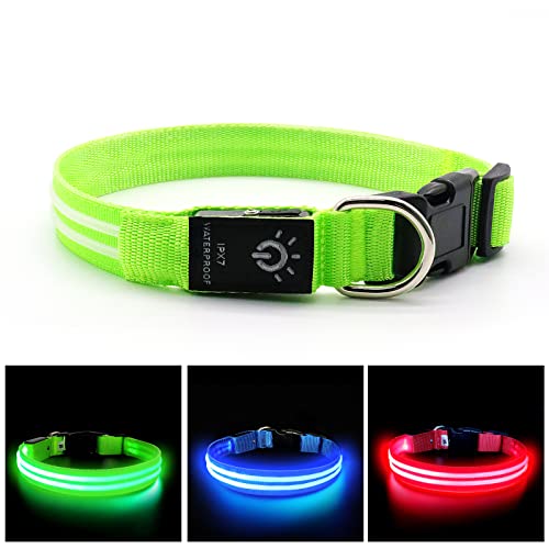 NASTRA Collar Luminoso Perro,Recargable Collares Luminosos para Perros,Collar Led Perro Luz Mayor Visibilidad y Seguridad Talla única para Todos los Perros y Gatos(Verde S)
