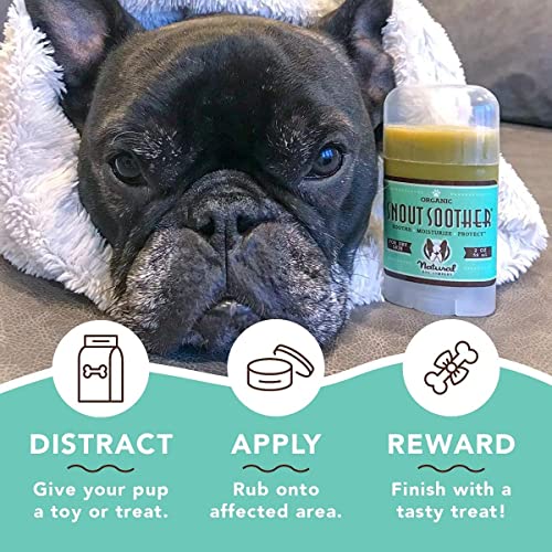 Natural Dog Company – Chupete de hocico | Remedio totalmente natural para las narices de perro agrietadas, crujientes y secas | Recomendado por veterinarios | Palo de 2 onzas