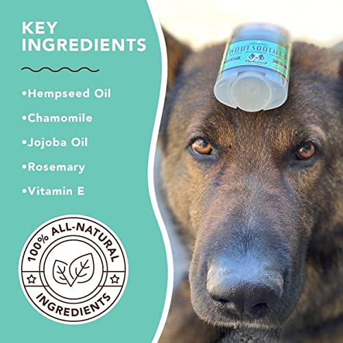 Natural Dog Company – Chupete de hocico | Remedio totalmente natural para las narices de perro agrietadas, crujientes y secas | Recomendado por veterinarios | Palo de 2 onzas
