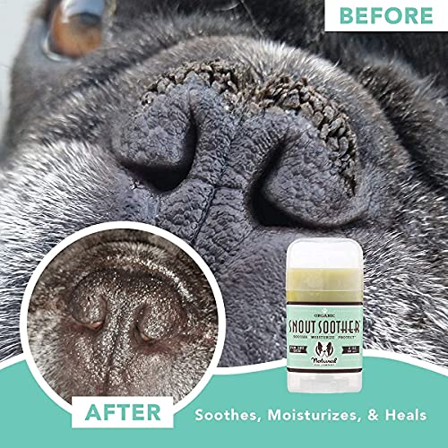 Natural Dog Company – Chupete de hocico | Remedio totalmente natural para las narices de perro agrietadas, crujientes y secas | Recomendado por veterinarios | Palo de 2 onzas