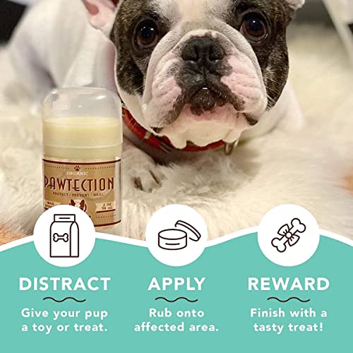 Natural Dog Company PawTection – Cera para protección de las almohadillas de las patas del perro, recomendada para andar por asfaltos calientes, con sal o nieve, producto orgánico y vegano