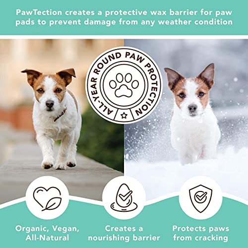 Natural Dog Company PawTection – Cera para protección de las almohadillas de las patas del perro, recomendada para andar por asfaltos calientes, con sal o nieve, producto orgánico y vegano