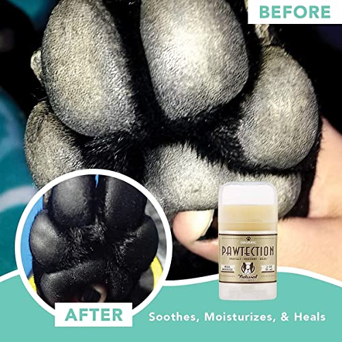 Natural Dog Company PawTection – Cera para protección de las almohadillas de las patas del perro, recomendada para andar por asfaltos calientes, con sal o nieve, producto orgánico y vegano