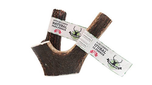 Natural Horn Asta de Ciervo, Complemento Alimenticio para Perros - 225 gr