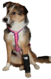 NATURE PET Vendaje para la articulación carpometacarpiana de Perro/Vendaje de protección de la articulación carpiana/Vendaje de protección de Perros Carpolock Medium Negro - XL