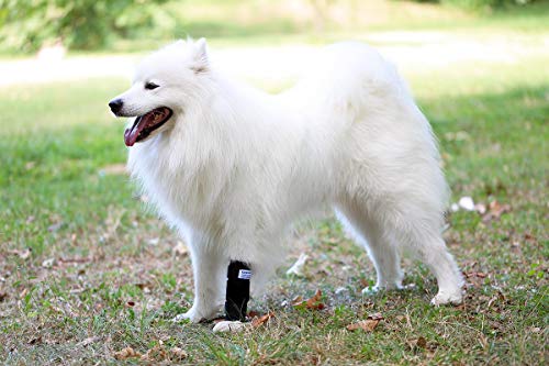 NATURE PET Vendaje para la articulación carpometacarpiana de Perro/Vendaje de protección de la articulación carpiana/Vendaje de protección de Perros Carpolock Medium Negro - XL