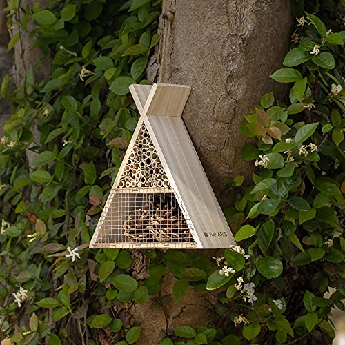 Navaris Hotel para Insectos de Madera - Casa Triangular Cubierta para Abejas y Avispas vivas - Refugio para observar y atraer Insectos de 22.5 x 21 CM
