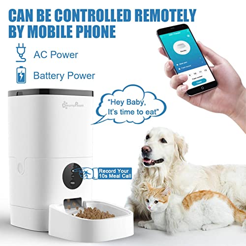 NC 4/6 L Alimentador inteligente para mascotas para gatos Wi Fi Alimentador automático de gato de gran capacidad Dispensador de alimentos para gatos seco Máquina expendedora de perros con registro