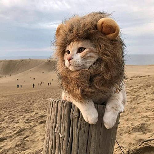 NC NC Disfraz de Halloween para Mascotas, Sombrero de Melena de león para Gatitos, Cachorros, Perros, Lavable, cómodo, Elegante, Pelo de león, Halloween, S