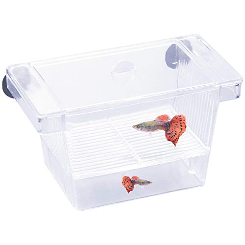Netspower Caja de Aislamiento de cría Bandeja de desove Flotante Bandeja de desove para Peces, Caja de criador de Peces de plástico Transparente con 2 ventosas para Acuario
