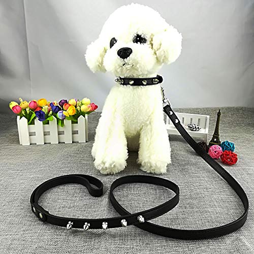 Newtensina 3 Piezas Tachonado Grano de cocodrilo y Negro Puro Collar de Cachorro y Correa Collar de Perro con Pinchos para Perros Gatos