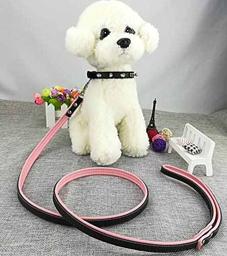 Newtensina 3 Piezas Tachonado Grano de cocodrilo y Negro Puro Collar de Cachorro y Correa Collar de Perro con Pinchos para Perros Gatos