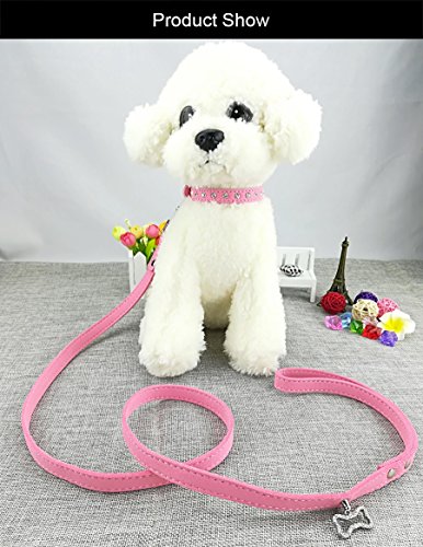Newtensina Lindo Diamante Cachorro Collar y Correa Bling Gamuza Collar para Perros pequeños Gatos