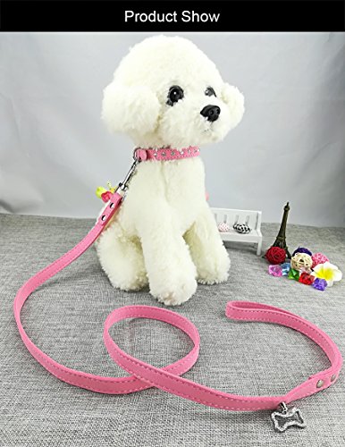 Newtensina Lindo Diamante Cachorro Collar y Correa Bling Gamuza Collar para Perros pequeños Gatos
