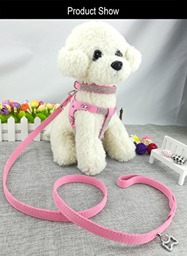 Newtensina Moda Collar de Perro y arnés y Correa Collar de Perro Diamante con arnés y Correas Conjunto de arnés y Correas de Cuello Suave y cómodo para Perros