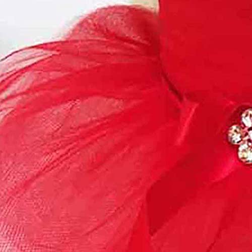 Nicoone Vestido de perro con cinta para perro, vestido de fiesta de cumpleaños para perros pequeños, vestido de fiesta de cumpleaños para gatitos, ropa para mascotas