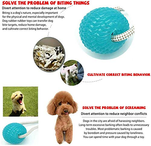 Nifogo Juguetes para Perros，Juguete Perro Juguete Multifuncional para Mordedura para Mascotas, Pelota Perro Pelota De Goma，Juegos Interactivos para Perros，Juguetes Perros Pequeños