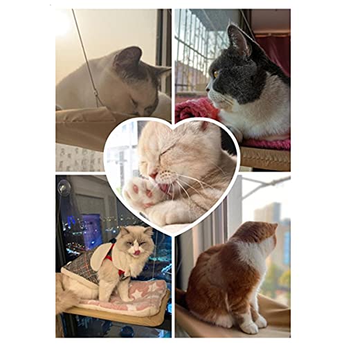 NIQIU Lindas Camas Colgantes para Gatos con 20 kg de Asiento cómodo, Asiento de Ventana, Montaje para Mascotas, Gato, Hamaca, Estante para Mascotas, Asiento para Camas, Suministros, Verde, China