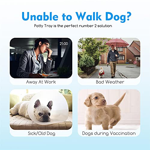 Nobleza - Bandeja de Entrenamiento WC para Perros, Soporte para Almohadilla para Mascotas, Inodoro de Plástico con Poste Extraíble para Perros y Gatos, Color Azul, Talla S, (60,5 * 39,5) cm