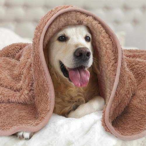 Nobleza Manta Suave de Felpa para Perros Gatos y Otras Mascotas Lavable Color Marrón 80 * 80cm
