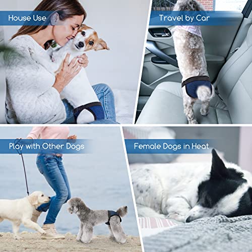 Nobleza Pañales para Perros, Pantalones Protectores Lavables con 3 Toallas Sanitarias, Calzoncillos Higiénicos Perra en Calor, Bragas Reutilizables Perras, 1 Ud. Cintura 35-43 cm, M