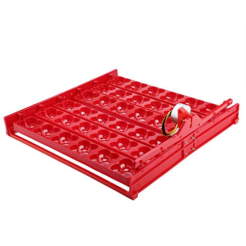 non Incubadora de Huevos Incubadora de Huevos Automática Máquina Incubadora de Huevos Bandeja Giratoria para Huevos Huevos de Pato Huevos de Fuego Pollo Pato Codorniz