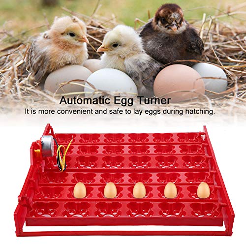non Incubadora de Huevos Incubadora de Huevos Automática Máquina Incubadora de Huevos Bandeja Giratoria para Huevos Huevos de Pato Huevos de Fuego Pollo Pato Codorniz