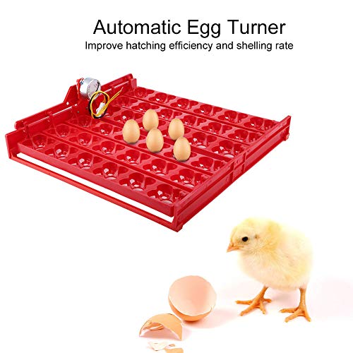 non Incubadora de Huevos Incubadora de Huevos Automática Máquina Incubadora de Huevos Bandeja Giratoria para Huevos Huevos de Pato Huevos de Fuego Pollo Pato Codorniz