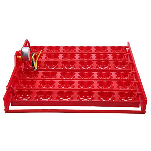 non Incubadora de Huevos Incubadora de Huevos Automática Máquina Incubadora de Huevos Bandeja Giratoria para Huevos Huevos de Pato Huevos de Fuego Pollo Pato Codorniz
