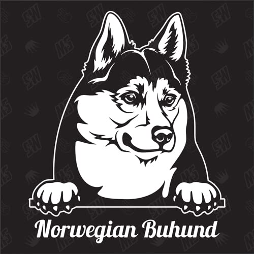 Norwegian Buhund Versión 1 - pegatina, perro, coche, razas de perros, mestizo, mezcla, animales, mascota (TAMBIÉN POSIBLE CON DESEADO)