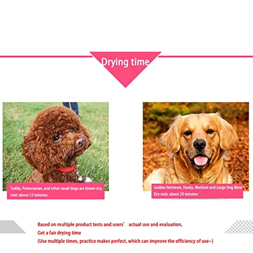 NUB Pantalla De Calefacción por Mascotas Máquina Sopladora De Agua for Mascotas Máquina De Soplado De Perro Silencioso De Alta Potencia Golden Retriever Teddy Dog
