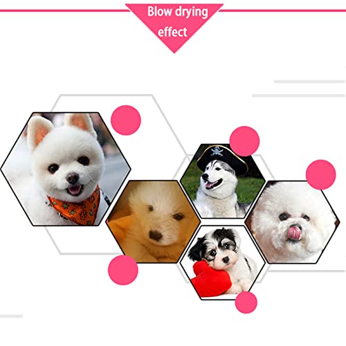 NUB Pantalla De Calefacción por Mascotas Máquina Sopladora De Agua for Mascotas Máquina De Soplado De Perro Silencioso De Alta Potencia Golden Retriever Teddy Dog