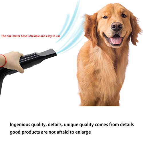 NUB Secador de Pelo para Perros y Gatos Mascotas Secador de bajo Ruido Led Pantalla Niveles de Velocidad Mascota De Baja Potencia Secador De Pelo Secador