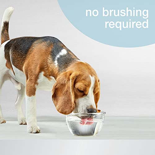 Nylabone Advanced Oral Care Removedor de sarro líquido, 32 onzas