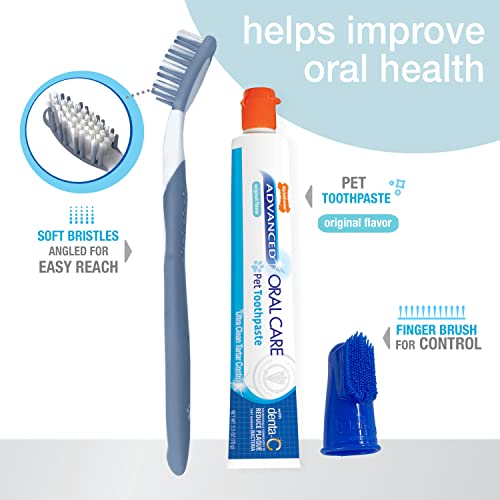 Nylabone Kit Dental avanzado para Perros de Cuidado bucal