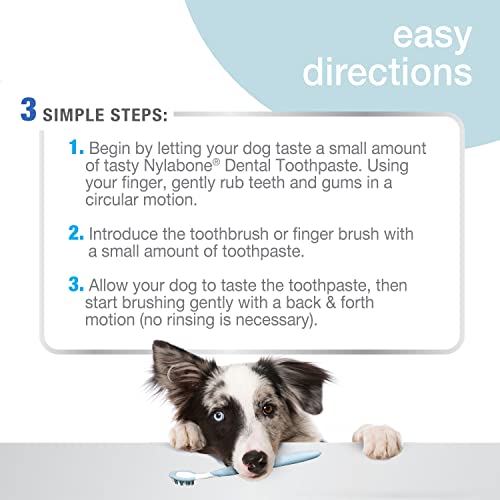 Nylabone Kit Dental avanzado para Perros de Cuidado bucal